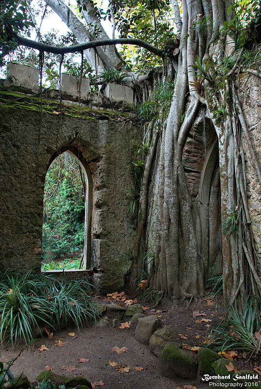 Bernhard Saalfeld - Palacio de Monserrate I